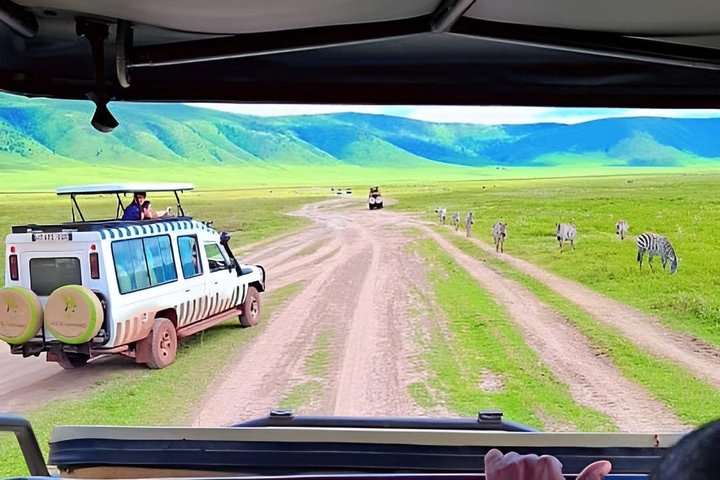 Tanzania Wildlife Safari 3 Day Tour Tarangire and Ngorongoro