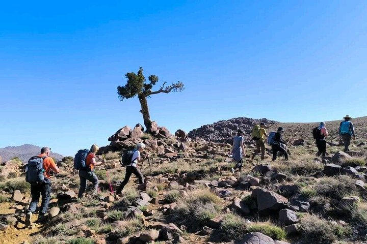 Saghro Mountains Trekking & Berber Experience