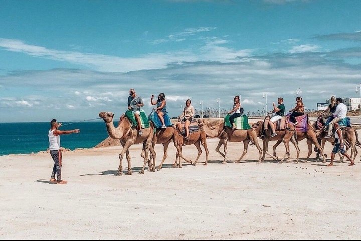 Luxury 4-Hour Private tangier Experience & Camel Ride