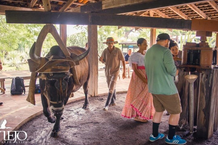 Safari Palo verde river cruise, sugarcane liquor & cultural tour