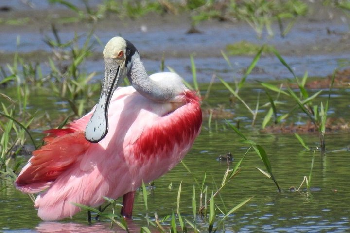 Safari Palo verde river cruise, sugarcane liquor & cultural tour