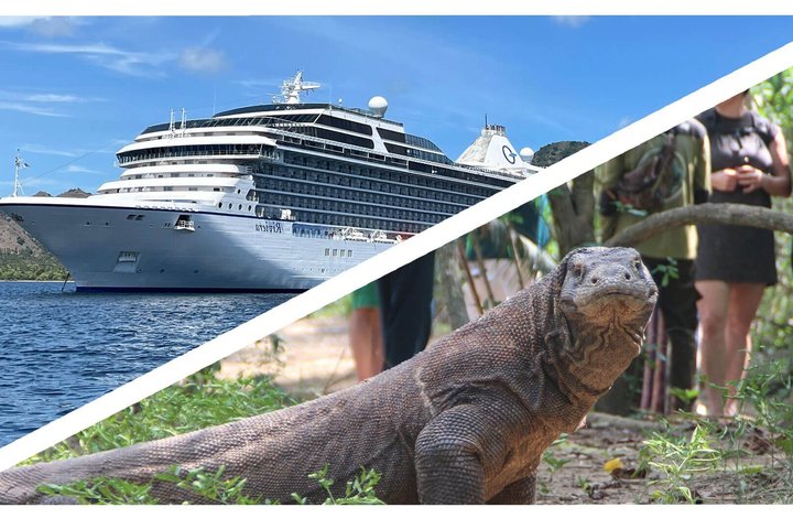 Top Komodo Island Shore Tour for passengers of Cruise Ship