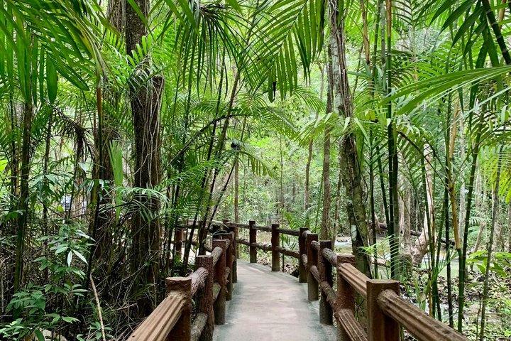 All day Krabi Jungle Tour (Hot Spring Water, Emerald Pool, Tiger Cave Temple)