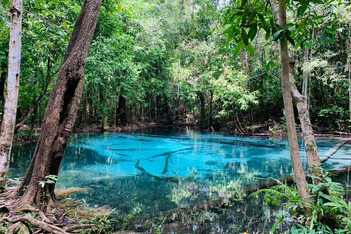 All day Krabi Jungle Tour (Hot Spring Water, Emerald Pool, Tiger Cave Temple)