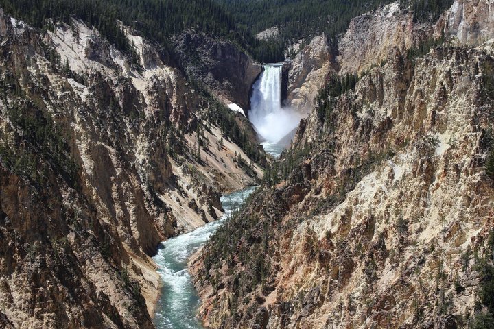 12 VIP Group Yellowstone Classic 1 Day Tour Bozeman Round Trip