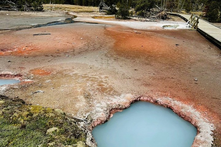 12 VIP Group Yellowstone Classic 1 Day Tour Bozeman Round Trip