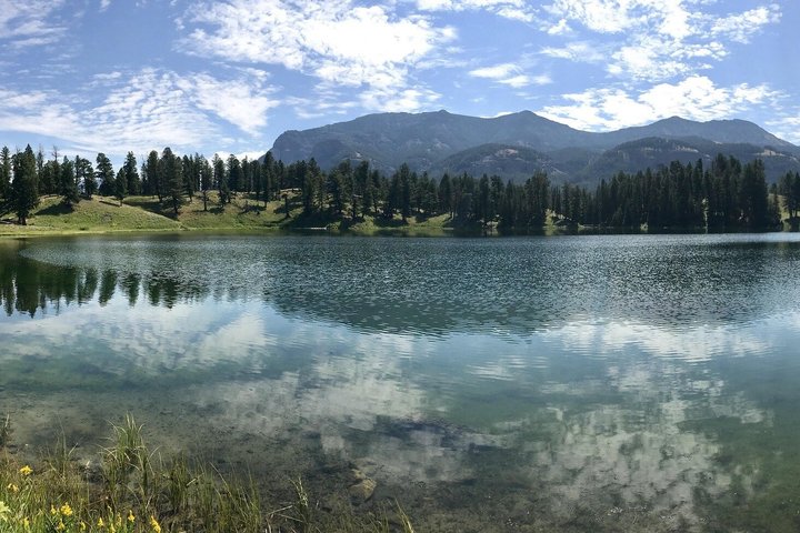 12 VIP Group Yellowstone Classic 1 Day Tour Bozeman Round Trip