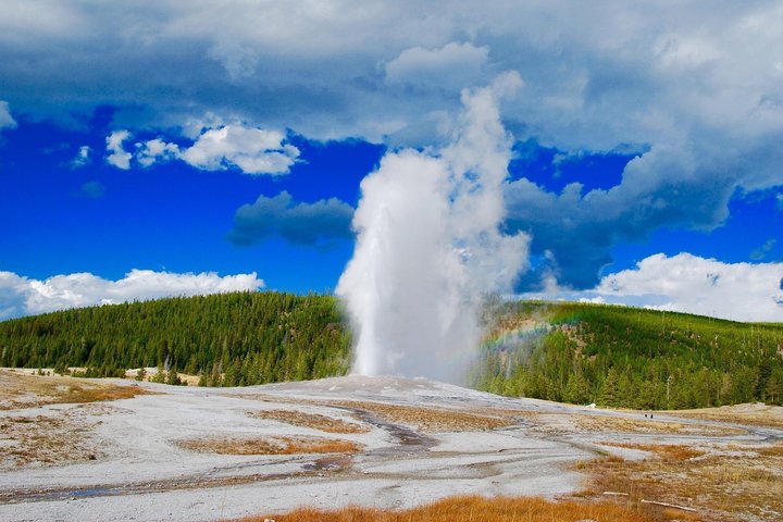 12 VIP Group Yellowstone Classic 1 Day Tour Bozeman Round Trip