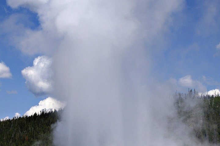 12 VIP Group Yellowstone Classic 1 Day Tour Bozeman Round Trip