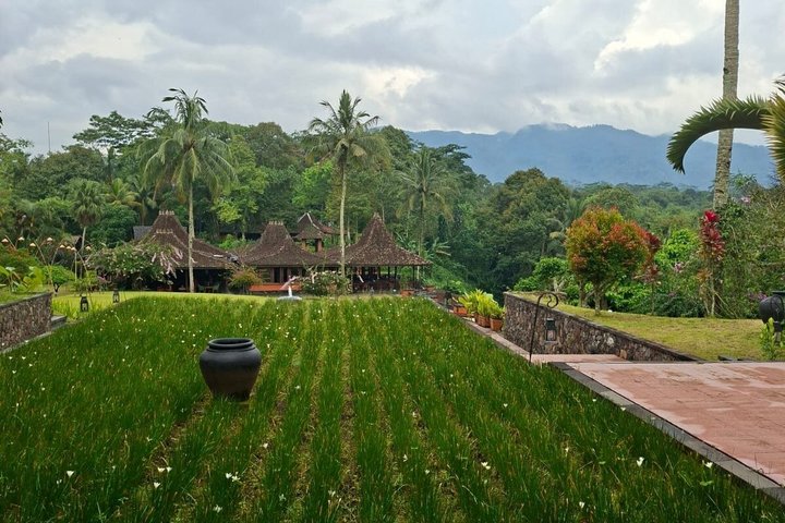 Coffee Plantation Hotel Tour at MesaStila Resort fr Semarang