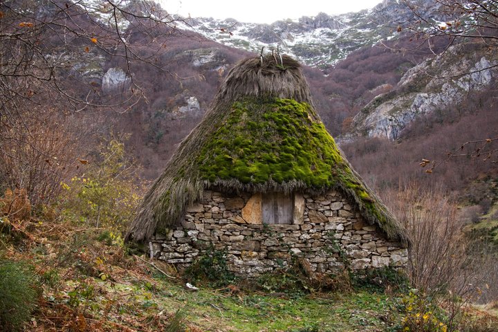 Gijón and Oviedo: Excursion to Lakes of Somiedo and Path of the Bear