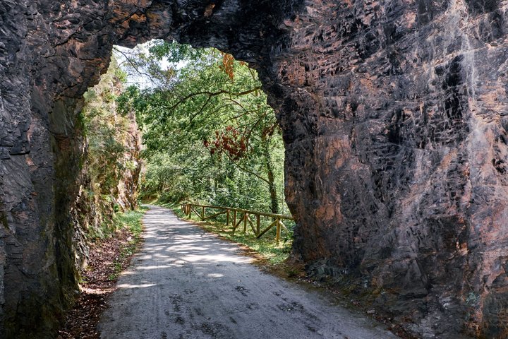 Gijón and Oviedo: Excursion to Lakes of Somiedo and Path of the Bear