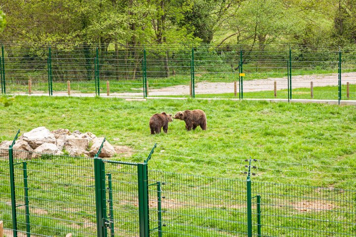 Gijón and Oviedo: Excursion to Lakes of Somiedo and Path of the Bear