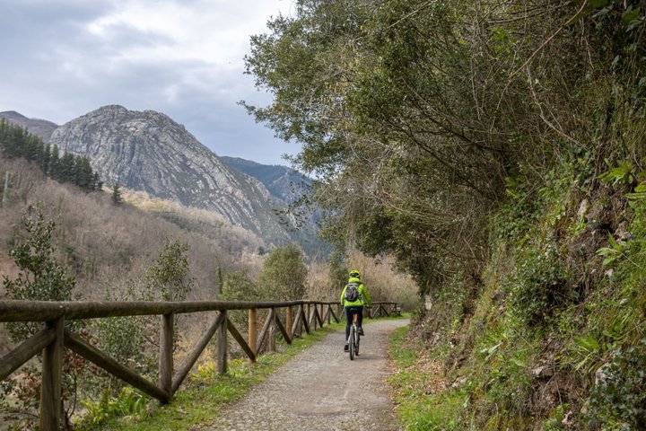 Gijón and Oviedo: Excursion to Lakes of Somiedo and Path of the Bear