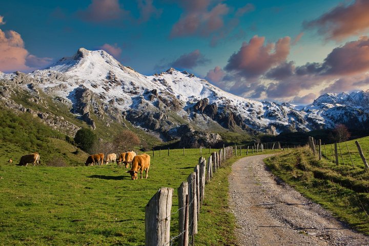 Gijón and Oviedo: Excursion to Lakes of Somiedo and Path of the Bear