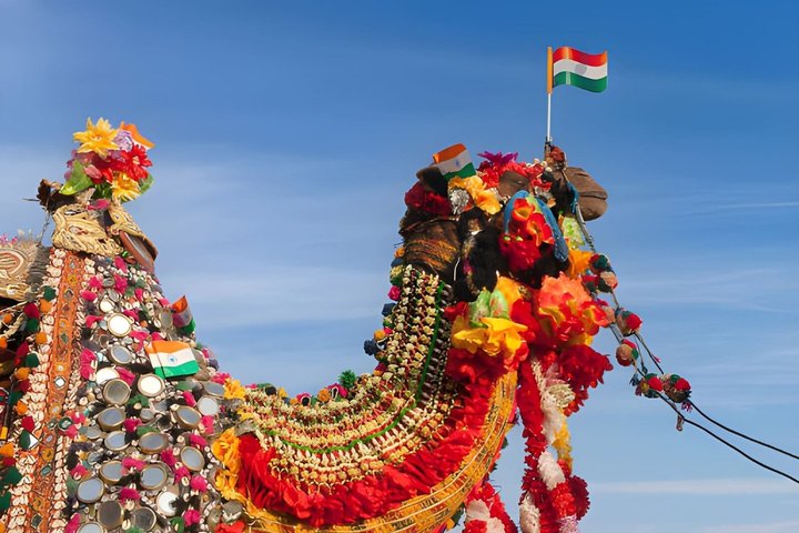 Pushkar City Tour With Camel Safari Lunch and Guide