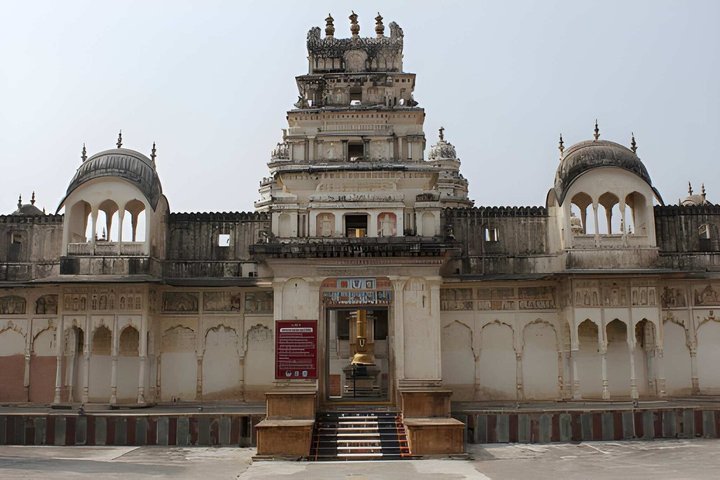Pushkar City Tour With Camel Safari Lunch and Guide