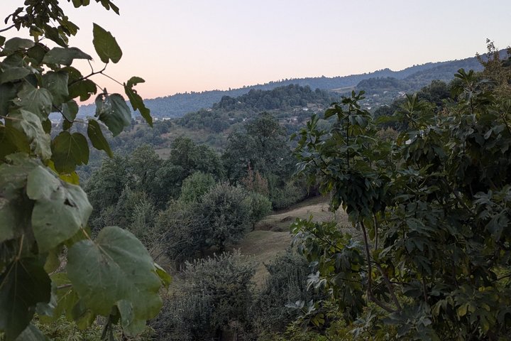 Talysh Soul Private Cultural and Culinary Tour