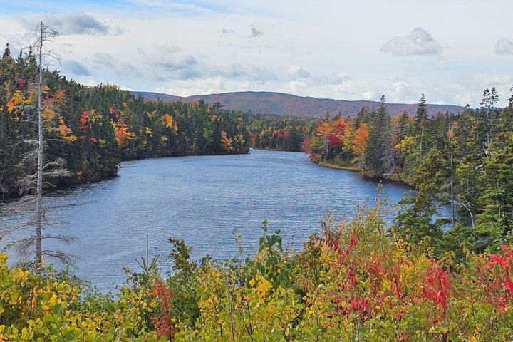 Cabot Trail: Green Cove excursion from port of Sydney Cape breton