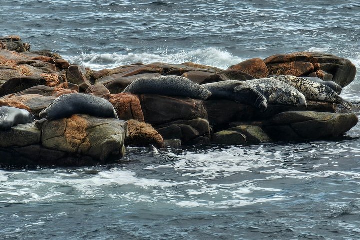Cabot Trail: Green Cove excursion from port of Sydney Cape breton