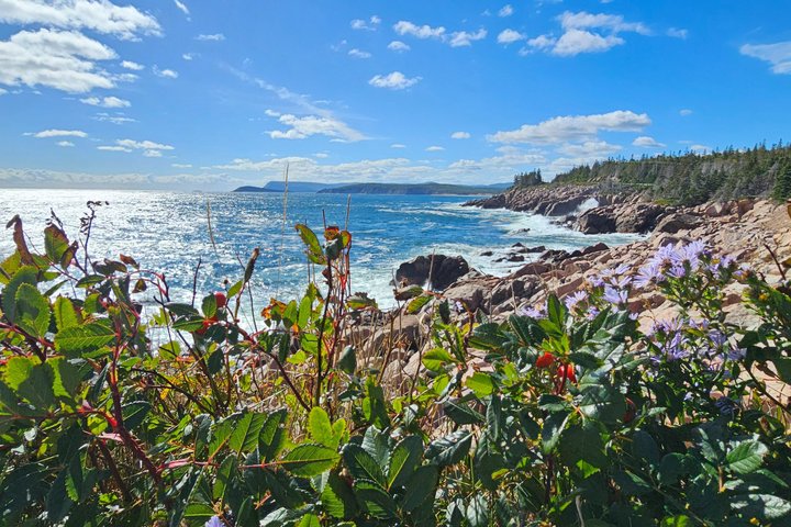 Louisbourg Fortress, Lighthouse & Cliffside Adventure Sydney NS