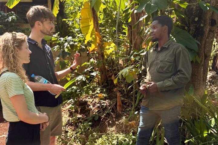 Materuni Waterfalls, Coffee Plantations & Banana beer experiences