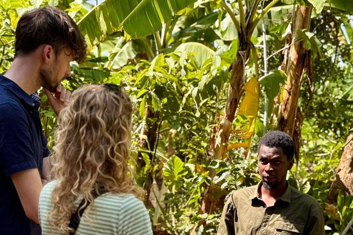 Materuni Waterfalls, Coffee Plantations & Banana beer experiences