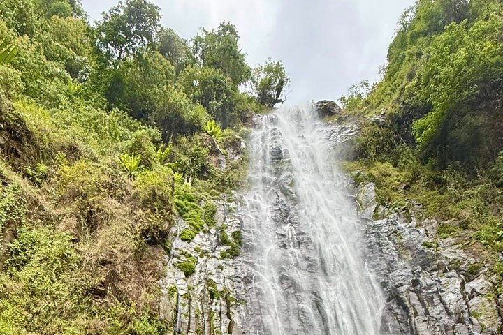 Materuni Waterfalls, Coffee Plantations & Banana beer experiences
