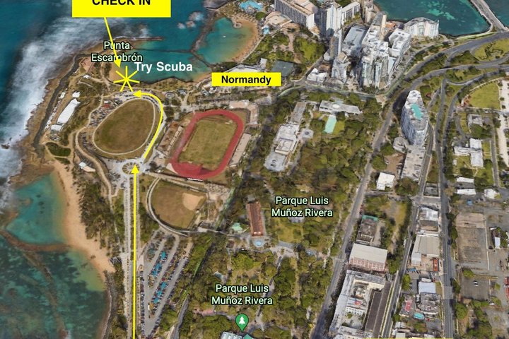 San Juan Guided Turtle Snorkel Tour and Complimentary Videos