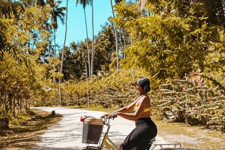 La Digue Boat and Bike Paradise Escape