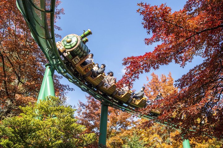 Everland Theme Park Admission Ticket with Transfer from Seoul