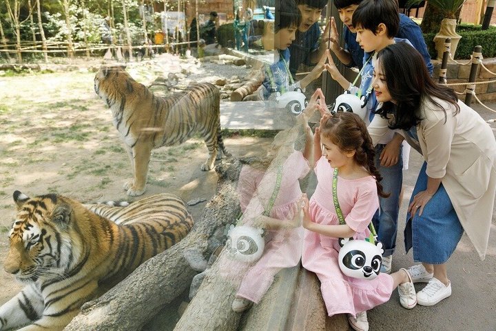 Everland Theme Park Admission Ticket with Transfer from Seoul