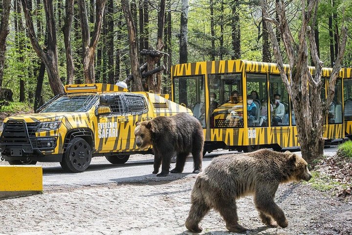 Everland Theme Park Admission Ticket with Transfer from Seoul