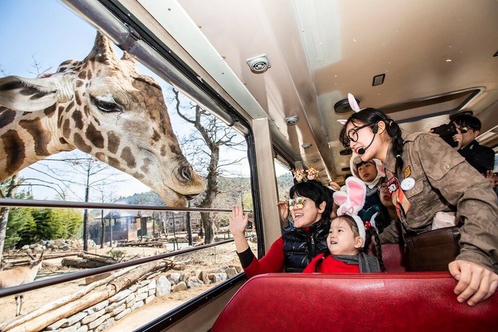 Everland Theme Park Admission Ticket with Transfer from Seoul