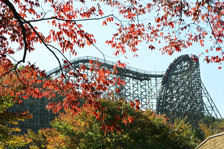 Everland Theme Park Admission Ticket with Transfer from Seoul
