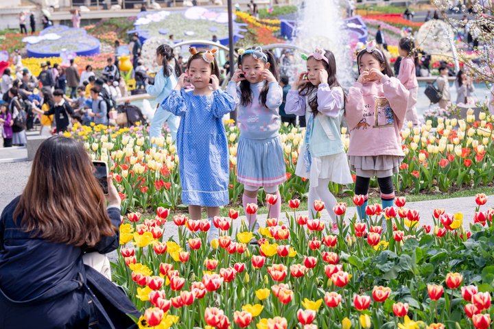 Everland Theme Park Admission Ticket with Transfer from Seoul
