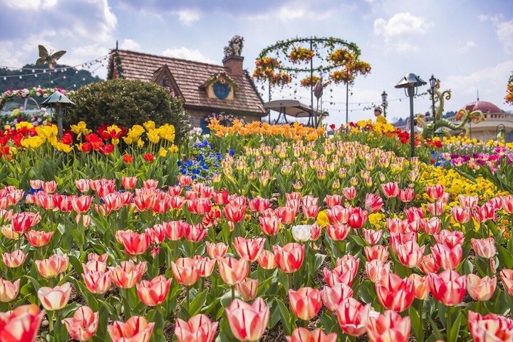 Everland Theme Park Admission Ticket with Transfer from Seoul