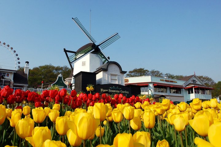 Everland Theme Park Admission Ticket with Transfer from Seoul