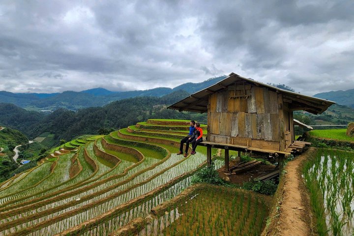 1 Day Mu Cang Chai Motorbike Adventure and Rice Terraces
