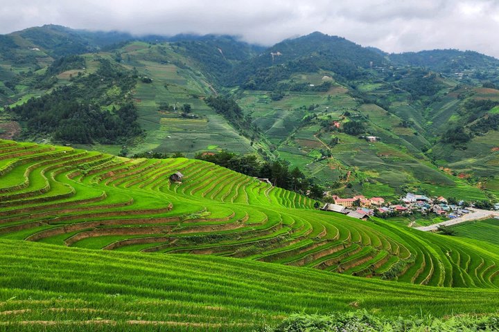 2 Days Mu Cang Chai Trekking Tour