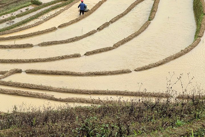 2 Days Mu Cang Chai Trekking Tour
