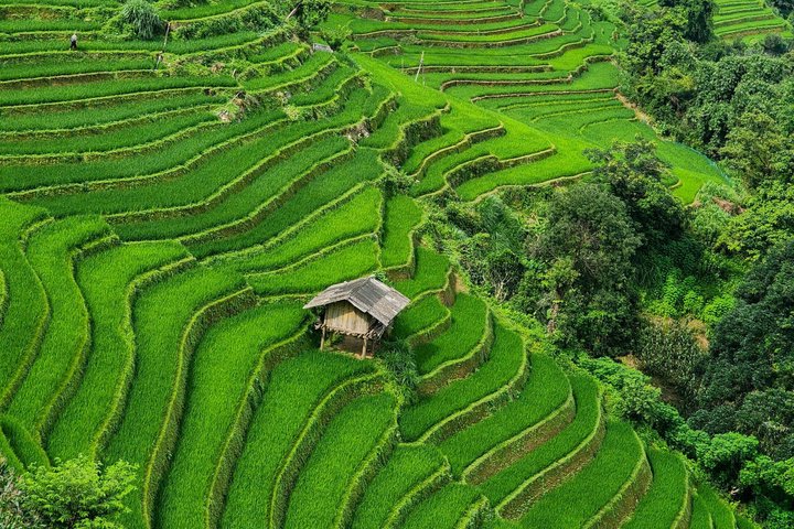 1 Day Mu Cang Chai Motorbike Adventure and Rice Terraces