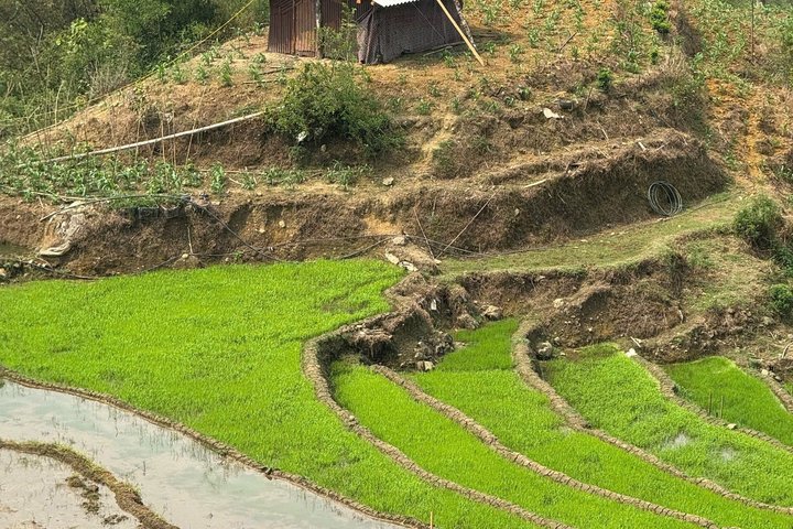1 Day Mu Cang Chai Motorbike Adventure and Rice Terraces