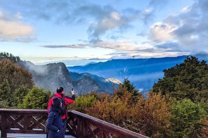 Alishan National Forest Day Tour from Taichung with Hotel Pickup