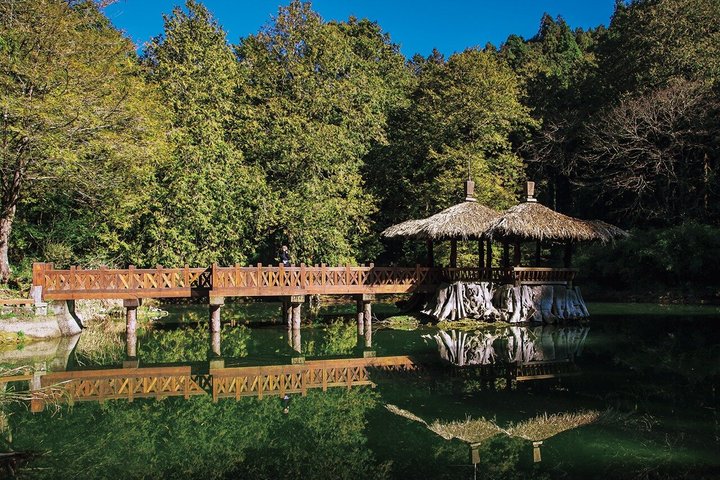 Alishan National Forest Day Tour from Taichung with Hotel Pickup