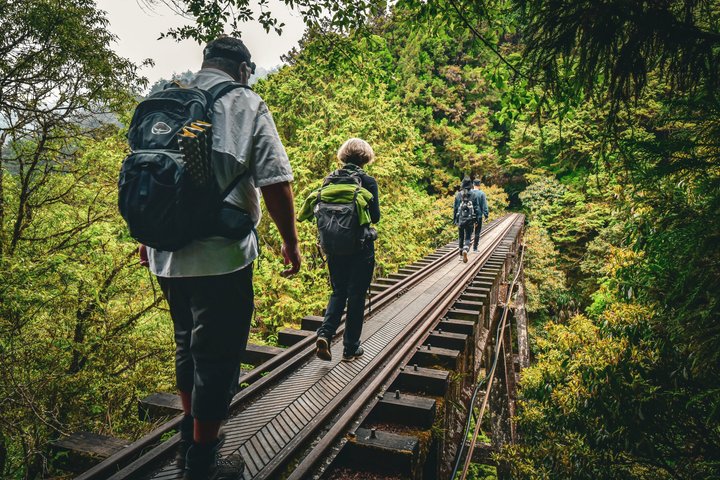 Alishan National Forest Day Tour from Taichung with Hotel Pickup