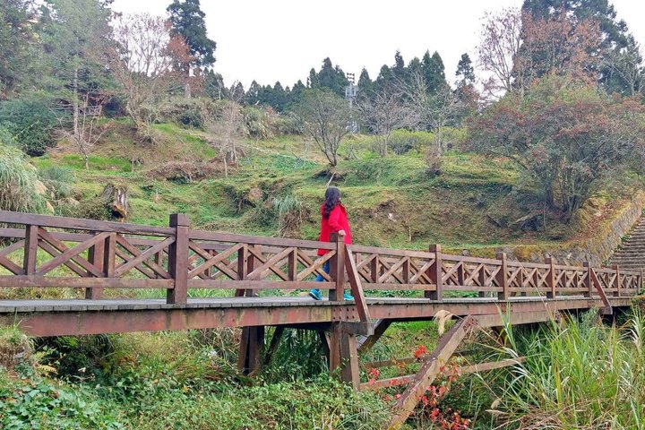 Alishan National Forest Day Tour from Taichung with Hotel Pickup