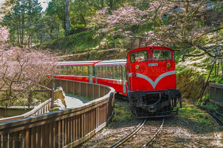 Alishan National Forest Day Tour from Taichung with Hotel Pickup