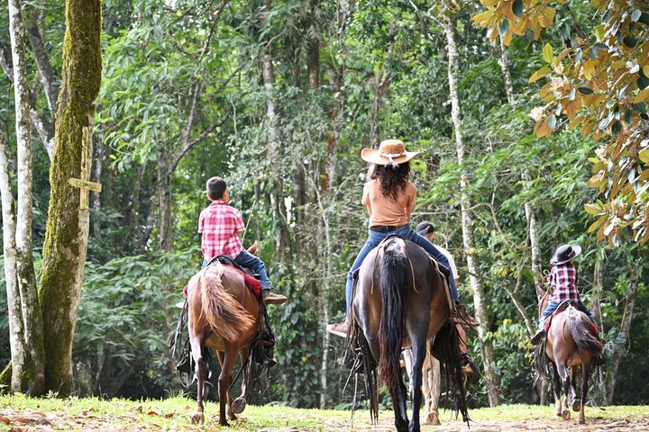Horseback Riding Adventure in La Fortuna with River Crossings