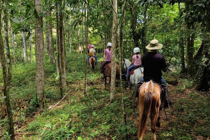 Horseback Riding Adventure in La Fortuna with River Crossings